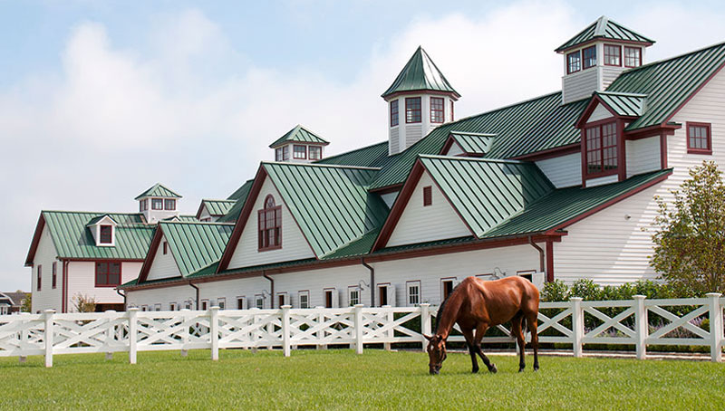 Horse Farm Commercial Architecture Design in Hamptons