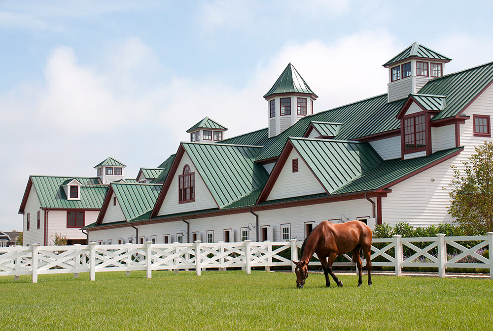 Architectural Design for Hamptons Horse Farm
