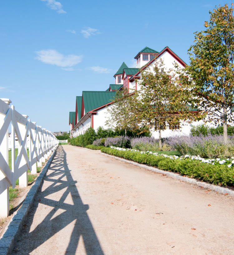 Architectural Pathways at Hamptons Farm