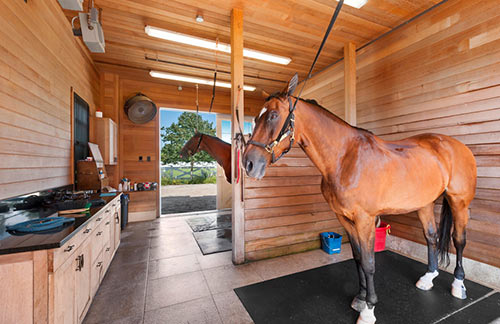 Horse Tack Room Architecture image by Douglas Elliman